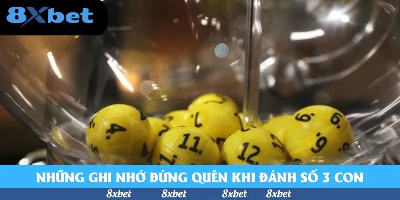 Những ghi nhớ đừng quên khi đánh số 3 con
